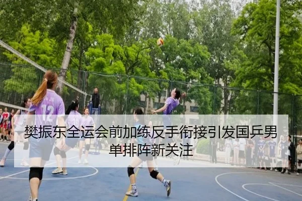 樊振东全运会前加练反手衔接引发国乒男单排阵新关注